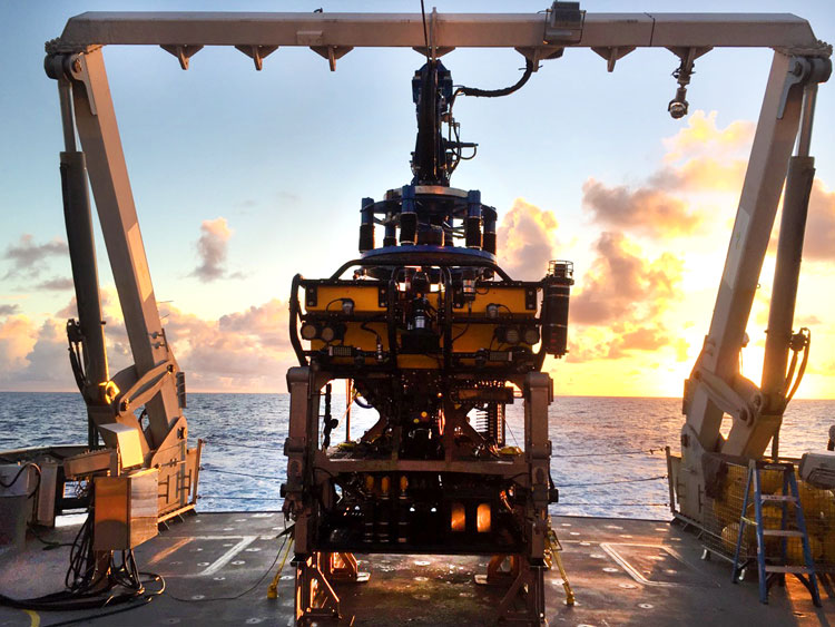 SuBastian preparing to dive